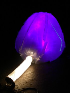lumanotus_006 lumanotus_006