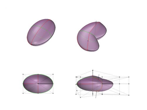 torus_01 torus_01