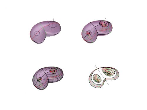 torus_02 torus_02