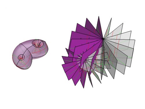 torus_03 torus_03
