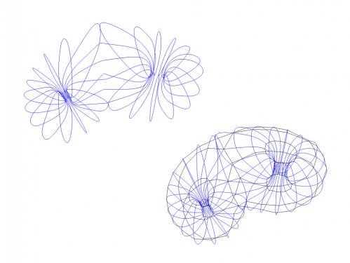 torus_04 torus_04