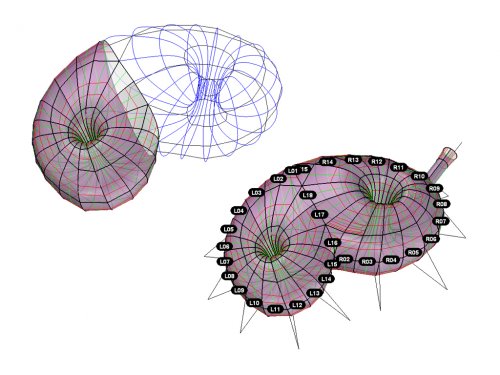 torus_05 torus_05